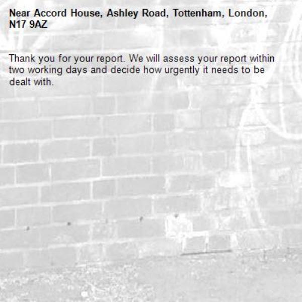 Thank you for your report. We will assess your report within two working days and decide how urgently it needs to be dealt with.-Accord House, Ashley Road, Tottenham, London, N17 9AZ