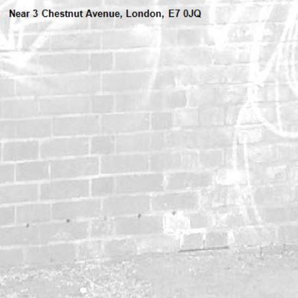 -3 Chestnut Avenue, London, E7 0JQ