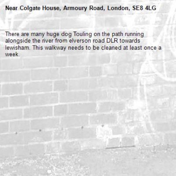 There are many huge dog Touling on the path running alongside the river from elverson road DLR towards lewisham. This walkway needs to be cleaned at least once a week.-Colgate House, Armoury Road, London, SE8 4LG