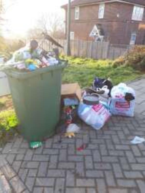 Please remove dumping from around recycling bin.
-137 Moorside Road, Bromley, BR1 5EP, England, United Kingdom