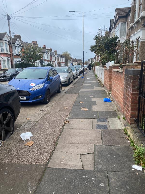 Burges road is disgraceful for litter. Please urgently sweep today as a priority -57A, Burges Road, East Ham, London, E6 2BJ
