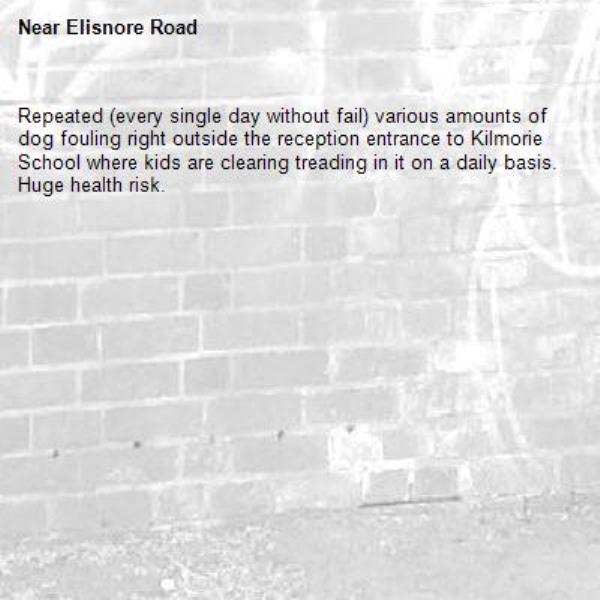 Repeated (every single day without fail) various amounts of dog fouling right outside the reception entrance to Kilmorie School where kids are clearing treading in it on a daily basis. Huge health risk.-Elisnore Road