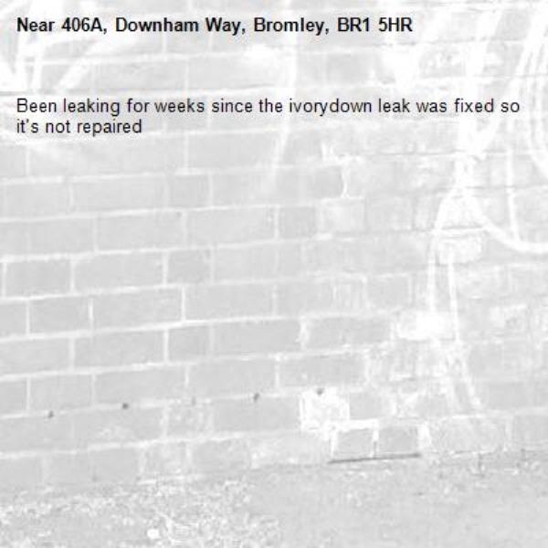 Been leaking for weeks since the ivorydown leak was fixed so it's not repaired-406A, Downham Way, Bromley, BR1 5HR