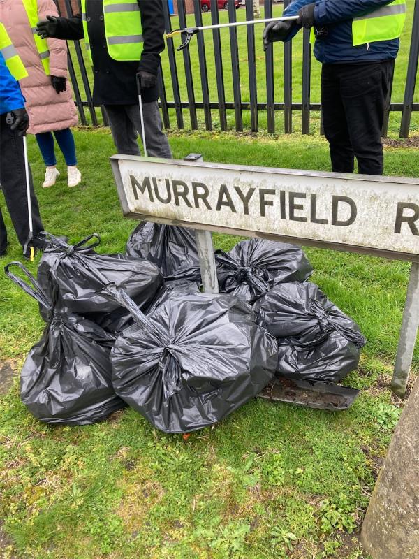 Litterpick rubbish -Murrayfield Road, Leicester
