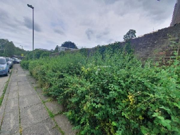 long plant with thorn has over grown and affecting people to walk on pavement. specially on school time where childrens were walking. Also common nettle has over grown and made difficult to walk. image 1-105 AUSTEN, Farnborough, GU14 8LQ