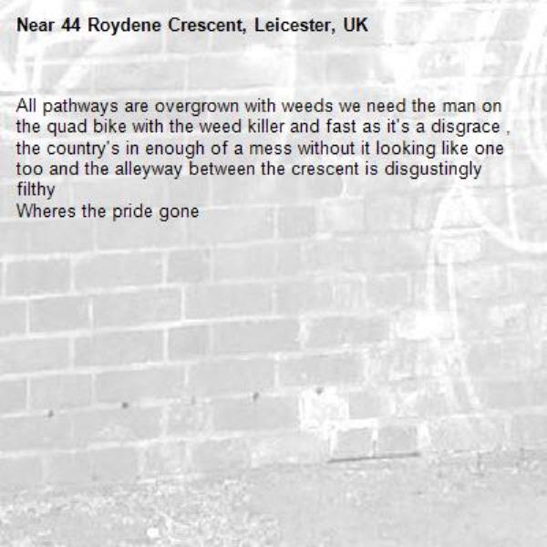 All pathways are overgrown with weeds we need the man on the quad bike with the weed killer and fast as it's a disgrace , the country's in enough of a mess without it looking like one too and the alleyway between the crescent is disgustingly filthy 
Wheres the pride gone -44 Roydene Crescent, Leicester, UK