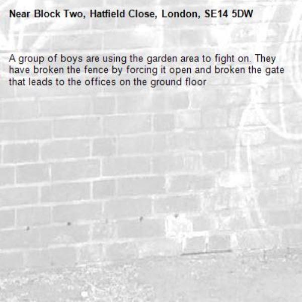 A group of boys are using the garden area to fight on. They have broken the fence by forcing it open and broken the gate that leads to the offices on the ground floor -Block Two, Hatfield Close, London, SE14 5DW
