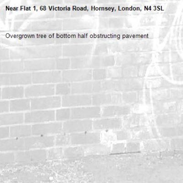 Overgrown tree of bottom half obstructing pavement -Flat 1, 68 Victoria Road, Hornsey, London, N4 3SL