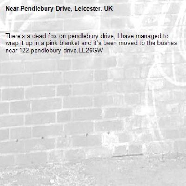 There’s a dead fox on pendlebury drive, I have managed to wrap it up in a pink blanket and it’s been moved to the bushes near 122 pendlebury drive,LE26GW-Pendlebury Drive, Leicester, UK
