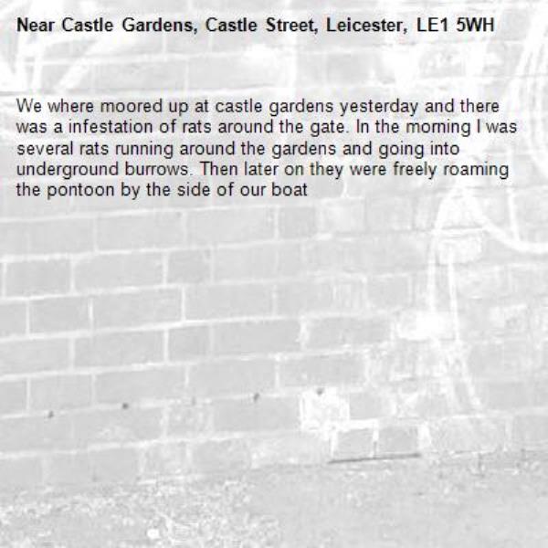 We where moored up at castle gardens yesterday and there was a infestation of rats around the gate. In the morning I was several rats running around the gardens and going into underground burrows. Then later on they were freely roaming the pontoon by the side of our boat-Castle Gardens, Castle Street, Leicester, LE1 5WH