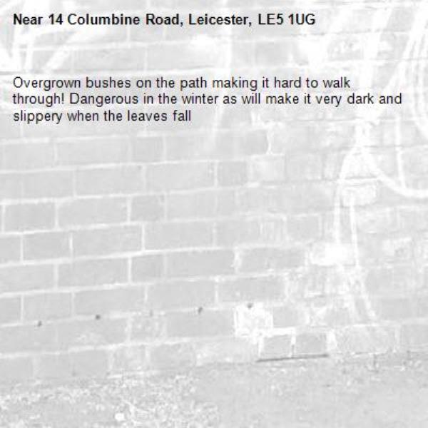 Overgrown bushes on the path making it hard to walk through! Dangerous in the winter as will make it very dark and slippery when the leaves fall-14 Columbine Road, Leicester, LE5 1UG