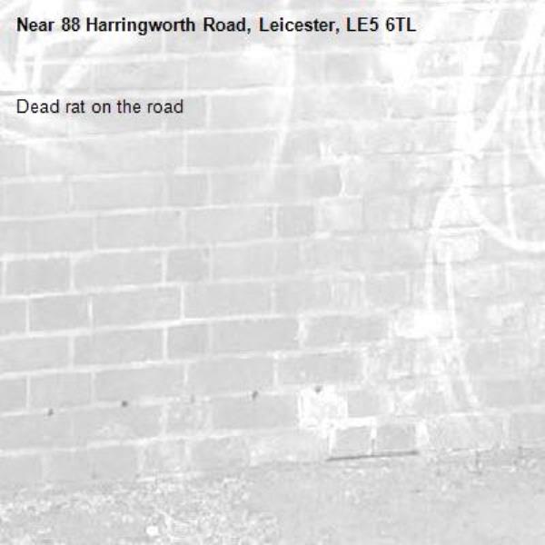 Dead rat on the road -88 Harringworth Road, Leicester, LE5 6TL