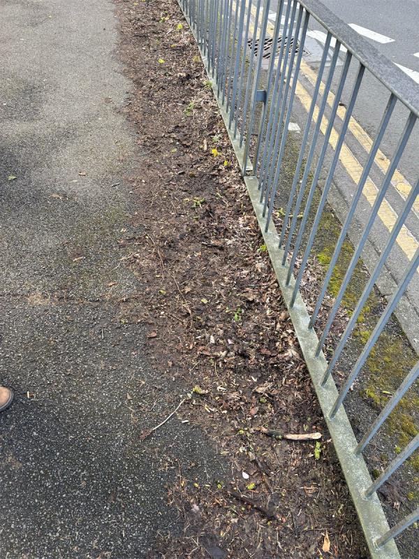 Leaf litter and grass growing over footpath next to bus stop. PREVIOUSLY REPORTED AND CLAIMED TO HAVE BEEN COMPLETED BY COUNCIL. The problem HAS NOT BEEN ADDRESSED.
A small area of path has been cleared and a very small patch of grass cut back a small way - but the vast majority has been left blocking the footpath. There is a clearly defined edging along the footpath that MUST be cleared back all the way along this section of footpath. Photos taken after work claimed to be completed!-432 Welford Road, Leicester, LE2 6EL