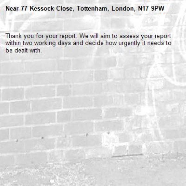 Thank you for your report. We will aim to assess your report within two working days and decide how urgently it needs to be dealt with.-77 Kessock Close, Tottenham, London, N17 9PW