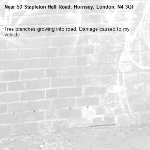 Tree branches growing into road. Damage caused to my vehicle. -53 Stapleton Hall Road, Hornsey, London, N4 3QF