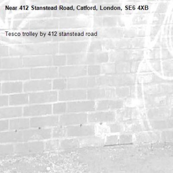 Tesco trolley by 412 stanstead road -412 Stanstead Road, Catford, London, SE6 4XB
