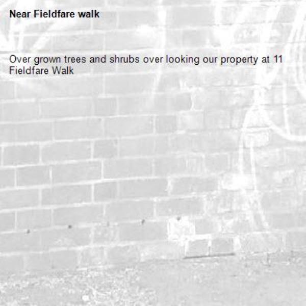 Over grown trees and shrubs over looking our property at 11 Fieldfare Walk -Fieldfare walk