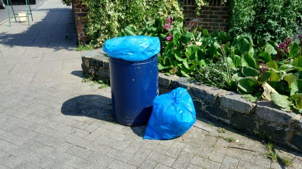Litter pick bag for collection -All Saints Court, Trewsbury Road, London, SE26 5ED
