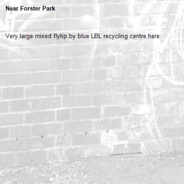 Very large mixed flytip by blue LBL recycling centre here -Forster Park
