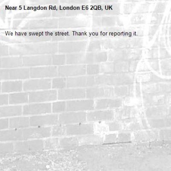 We have swept the street. Thank you for reporting it.-5 Langdon Rd, London E6 2QB, UK