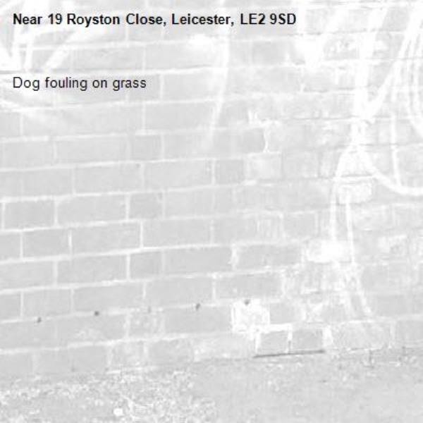 Dog fouling on grass-19 Royston Close, Leicester, LE2 9SD