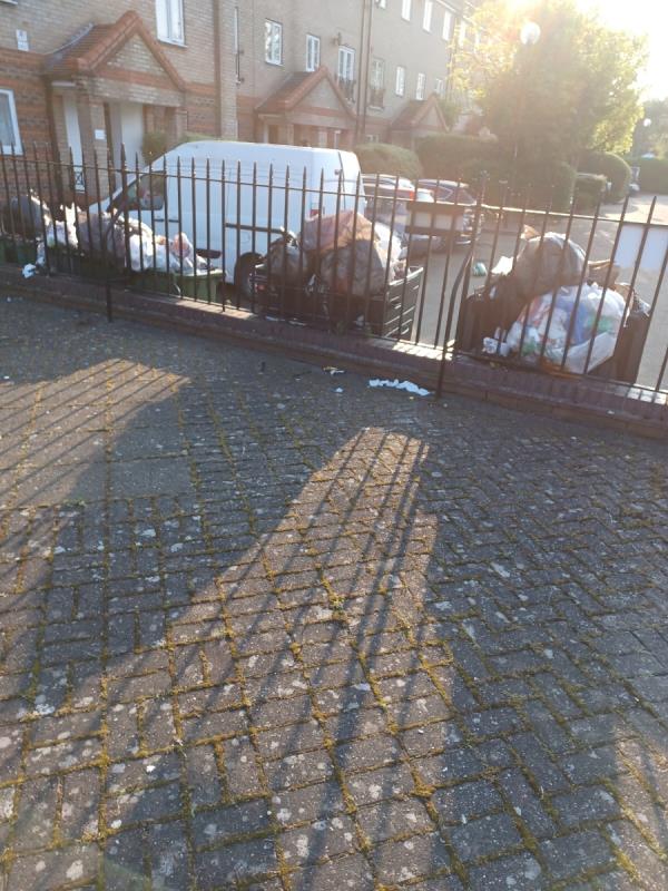 Can the council arrange for the refuse department to empty the bins  outside  281-287 Tollgate Road Beckton. As you can see from the photo  household  rubbish  all over  the floor. Residents  need larger  refuse  bins. Thanks -30 Edwin Street, Canning Town, London, E16 1QA