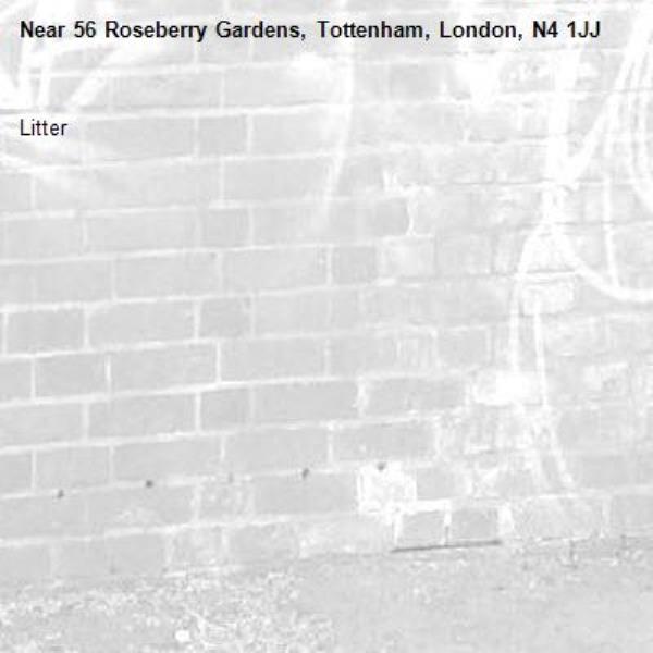 Litter -56 Roseberry Gardens, Tottenham, London, N4 1JJ
