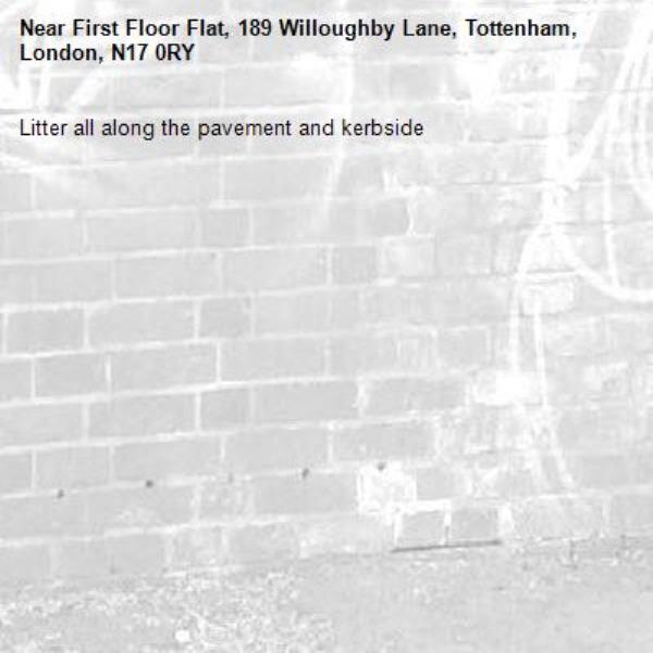 Litter all along the pavement and kerbside -First Floor Flat, 189 Willoughby Lane, Tottenham, London, N17 0RY