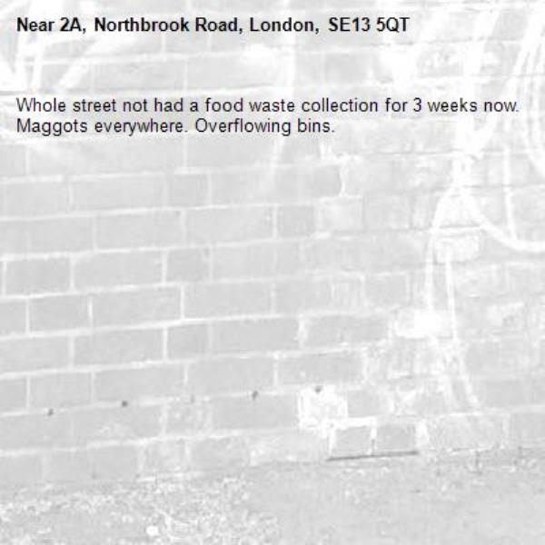 Whole street not had a food waste collection for 3 weeks now. Maggots everywhere. Overflowing bins. -2A, Northbrook Road, London, SE13 5QT