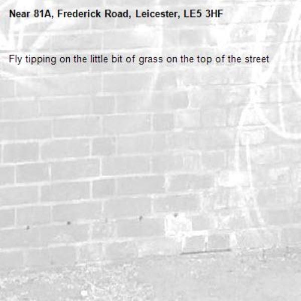 Fly tipping on the little bit of grass on the top of the street-81A, Frederick Road, Leicester, LE5 3HF