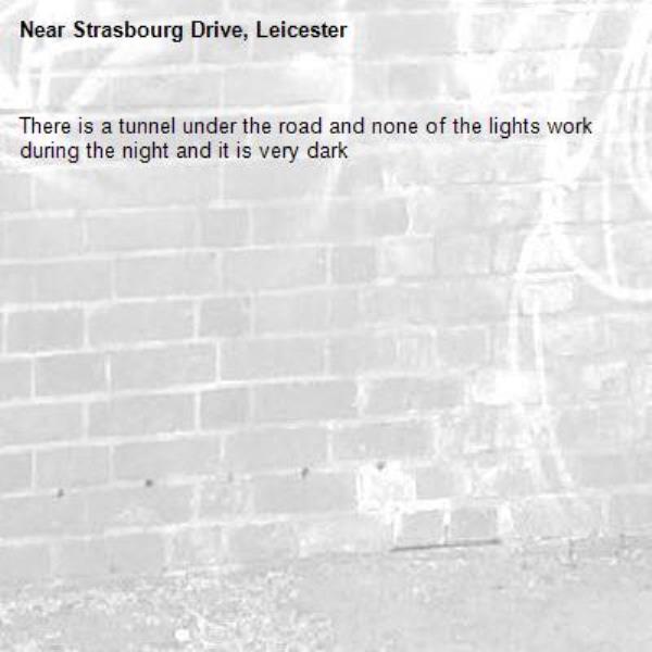 There is a tunnel under the road and none of the lights work during the night and it is very dark-Strasbourg Drive, Leicester
