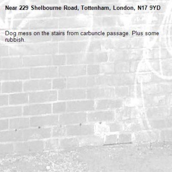 Dog mess on the stairs from carbuncle passage. Plus some rubbish. -229 Shelbourne Road, Tottenham, London, N17 9YD