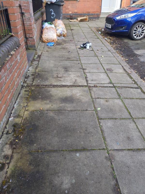 Always bags of rubbish on the pavement attracting vermin. Outside 3 Abingdon road 
The property is three flats they only have two bins i.e. not enough bins for the number of people living there bins always on the pavement too-Abingdon Road, Leicester