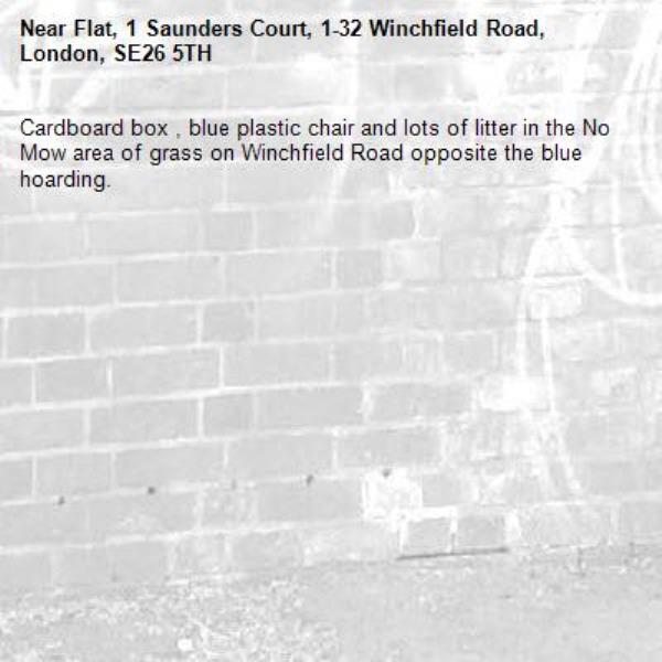 Cardboard box , blue plastic chair and lots of litter in the No Mow area of grass on Winchfield Road opposite the blue hoarding. -Flat, 1 Saunders Court, 1-32 Winchfield Road, London, SE26 5TH