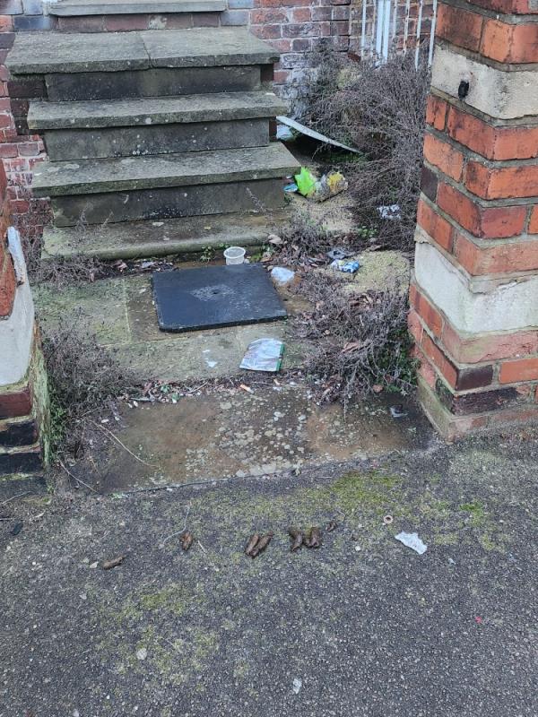 Trail of feces-1 Battle Street, RG1 7NU, England, United Kingdom