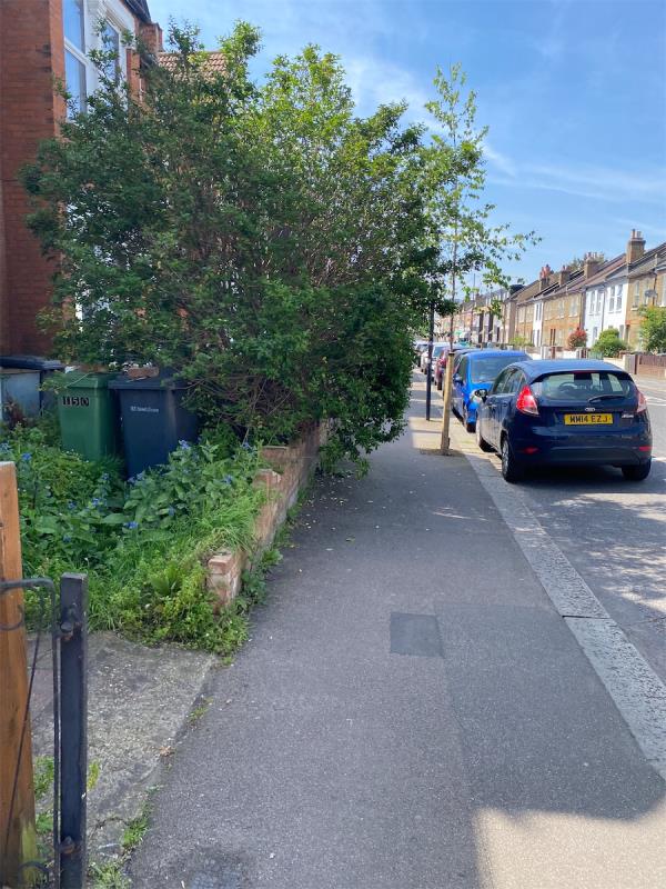  Clear the pathway-141 Sangley Road, Catford, London, SE6 2DY