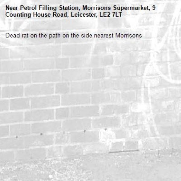 Dead rat on the path on the side nearest Morrisons -Petrol Filling Station, Morrisons Supermarket, 9 Counting House Road, Leicester, LE2 7LT