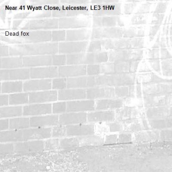 Dead fox-41 Wyatt Close, Leicester, LE3 1HW