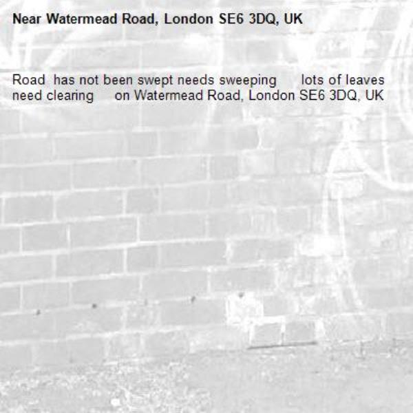 Road  has not been swept needs sweeping      lots of leaves    need clearing     on Watermead Road, London SE6 3DQ, UK-Watermead Road, London SE6 3DQ, UK
