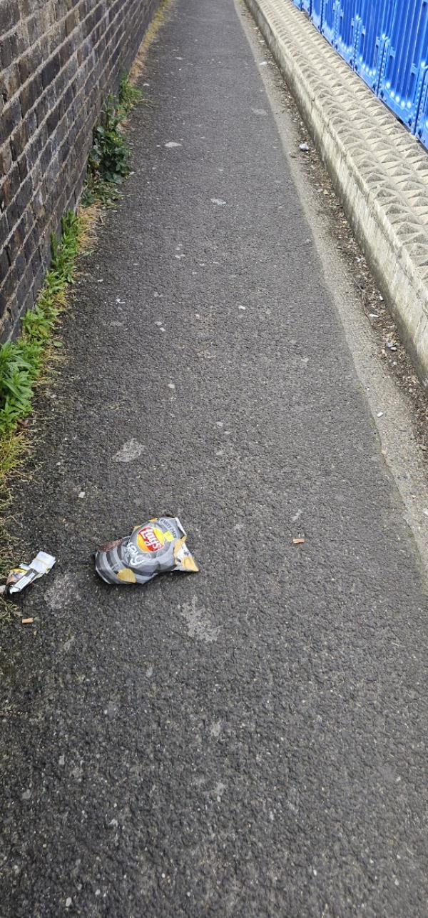 Litter all along the bridge has piled up. Need a thorough clean -Priory Park