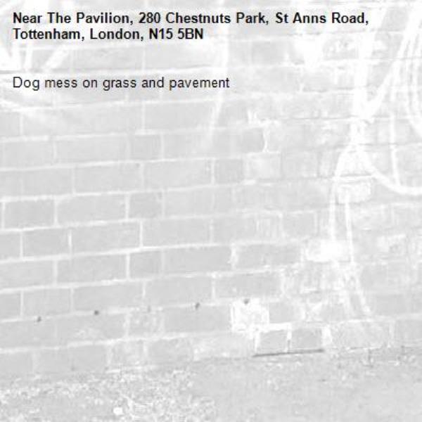 Dog mess on grass and pavement -The Pavilion, 280 Chestnuts Park, St Anns Road, Tottenham, London, N15 5BN