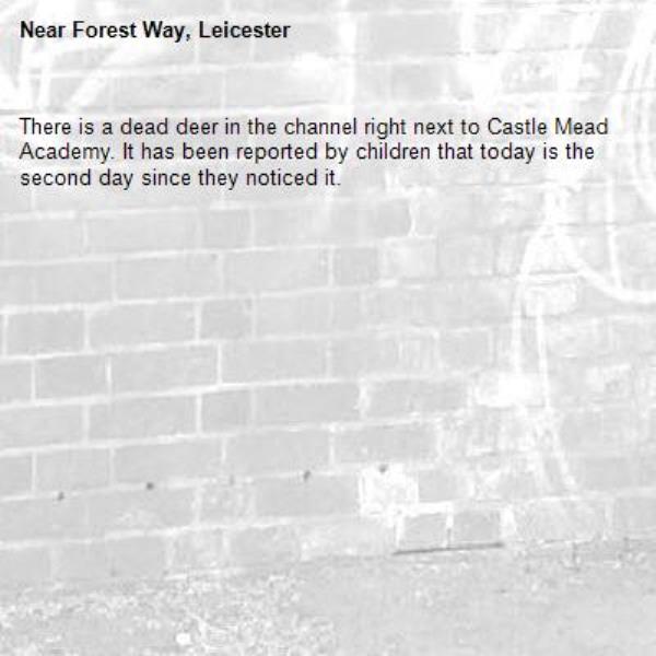 There is a dead deer in the channel right next to Castle Mead Academy. It has been reported by children that today is the second day since they noticed it. -Forest Way, Leicester