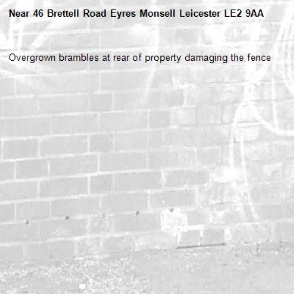 Overgrown brambles at rear of property damaging the fence-46 Brettell Road Eyres Monsell Leicester LE2 9AA 