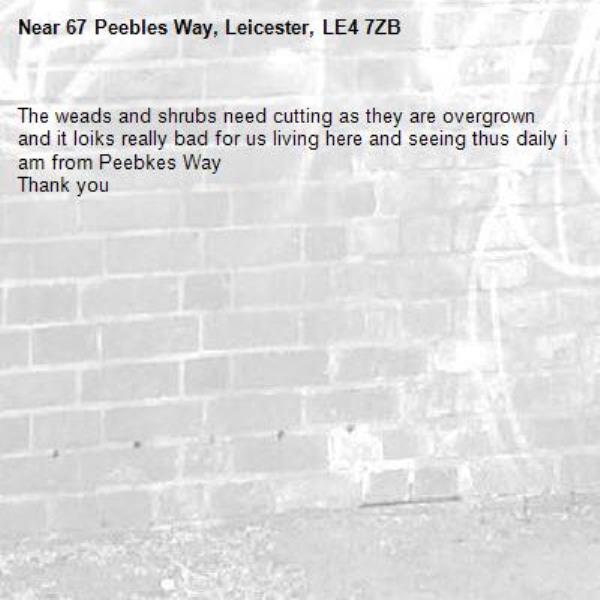 The weads and shrubs need cutting as they are overgrown and it loiks really bad for us living here and seeing thus daily i am from Peebkes Way
Thank you -67 Peebles Way, Leicester, LE4 7ZB