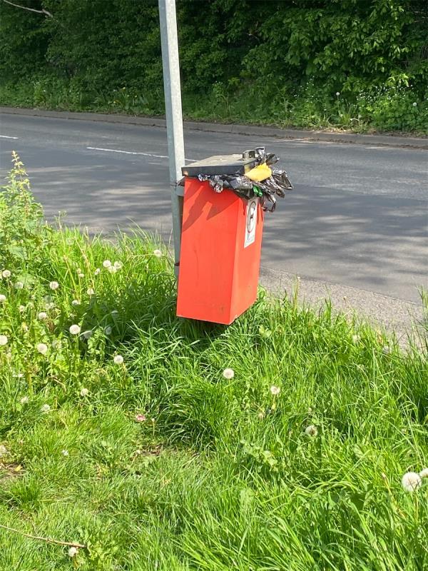 Yet again dog bin is full as is the one on mountain road - why are these not emptied weekly???-11 Warren Drive, Leicester, LE4 9WU