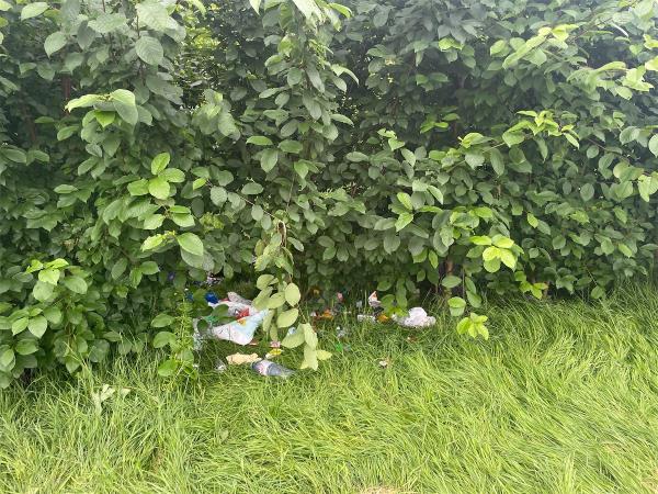Litter on bekton park ( towards the south) in new growth area -Strait Road, Beckton, London