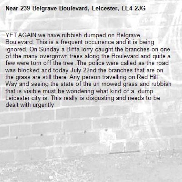 YET AGAIN we have rubbish dumped on Belgrave Boulevard. This is a frequent occurrence and it is being ignored. On Sunday a Biffa lorry caught the branches on one of the many overgrown trees along the Boulevard and quite a few were torn off the tree .The police were called as the road was blocked and today July 22nd the branches that are on the grass are still there. Any person travelling on Red Hill Way and seeing the state of the un mowed grass and rubbish that is visible must be wondering what kind of a  dump  Leicester city is. This really is disgusting and needs to be dealt with urgently-239 Belgrave Boulevard, Leicester, LE4 2JG