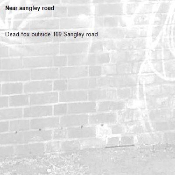Dead fox outside 169 Sangley road -sangley road