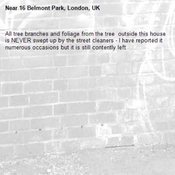 All tree branches and foliage from the tree  outside this house is NEVER swept up by the street cleaners - I have reported it numerous occasions but it is still contently left -16 Belmont Park, London, UK