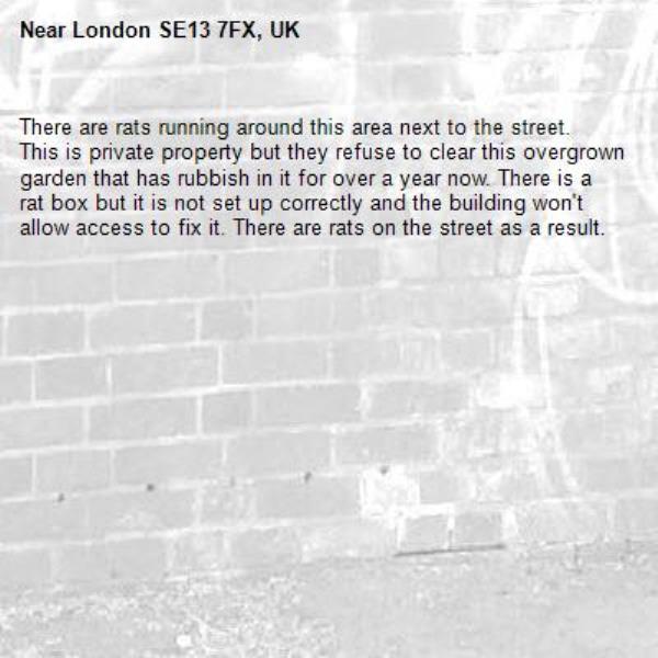 There are rats running around this area next to the street. This is private property but they refuse to clear this overgrown garden that has rubbish in it for over a year now. There is a rat box but it is not set up correctly and the building won't allow access to fix it. There are rats on the street as a result. -London SE13 7FX, UK